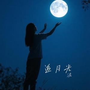 追月光 (Cover 张云雷)