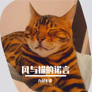 风与猫的承诺