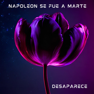 Desaparece