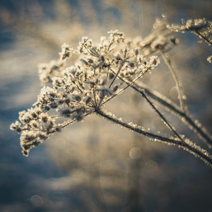 När det lider mot jul (Acoustic Version)