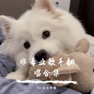 流浪的猫-你之外