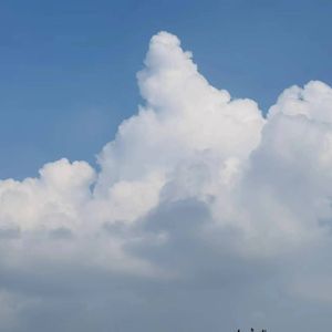 《观书有感：当下生活》