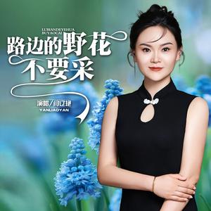 路边的野花不要采 (Dj阿能版)