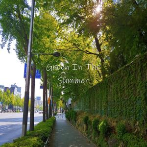Green In The Summer