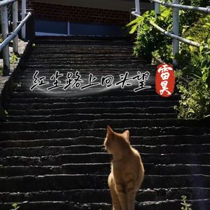 红尘路上回头望