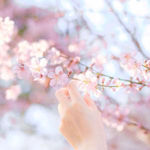 戏语花（翻自 玄觞）