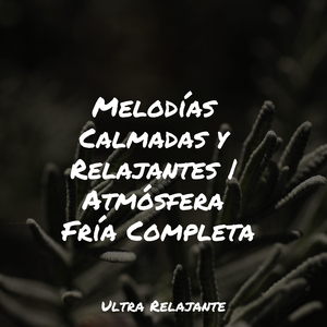 Rocío Sobre El Musgo