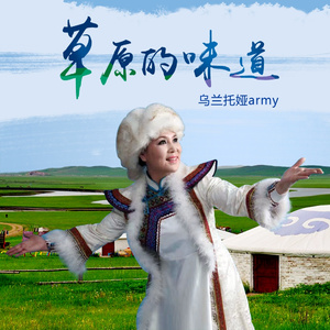 草原的味道 (DJPout小辉 ProgHouse remix)