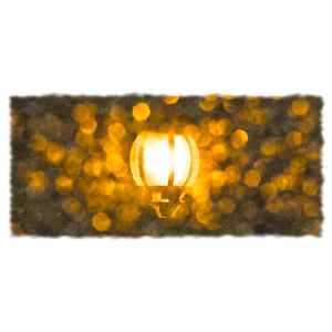 スターフィッシュ