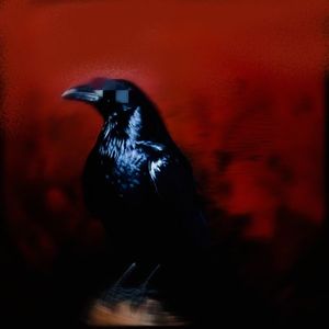 Let Me Check(Prod.9Red）