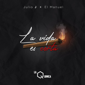 La Vida Es Corta