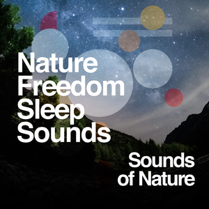 Spattering Woodland Rains