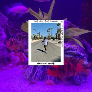 Vroom Vroom / Rent Free / Static