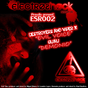 The Evil Voice (Original Mix)