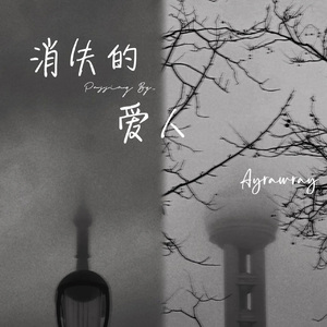 消失的爱人（Passing by） 伴奏