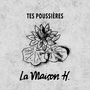 Tes poussières