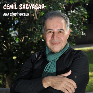 Ama Şimdi Yoksun