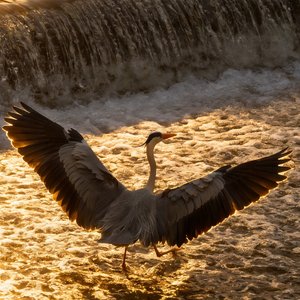 《与光同驰》.wav