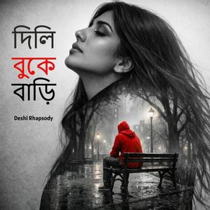 দিলি বুকে বাড়ি