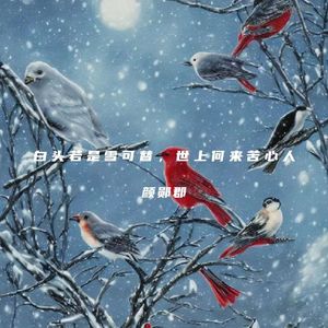 白头若是雪可替