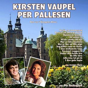 Vil du sænke dit øje?