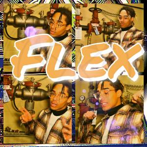 FLEX