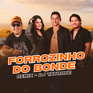 Safado Arrependido (Remix)