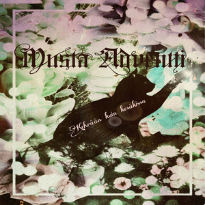 Kehrään kuin kesäkissa