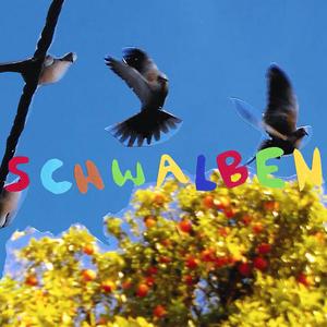 Schwalben