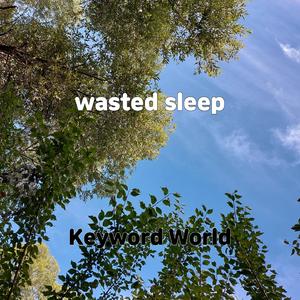wasted sleep