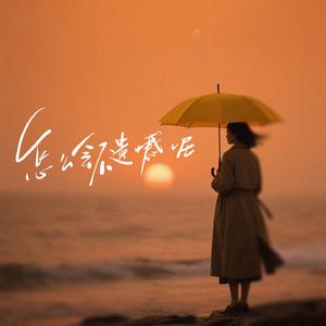 怎么会不遗憾呢(DJ开阳版)