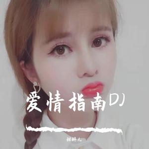 爱情指南DJ