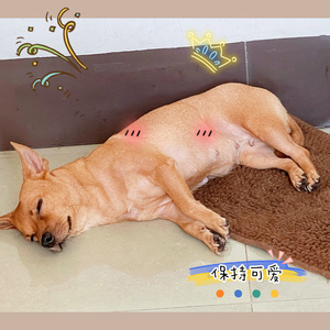 生命有一种绝对