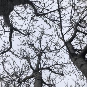 Ambivalence