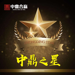 中鼎之星
