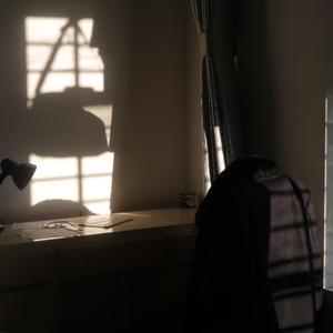 月小姐（cover 失眠的陈先生 寒洛&鼓润）