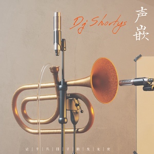 声嵌 - Dj Shortys