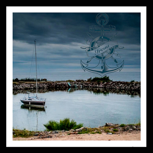 Cáscaras de Manzana