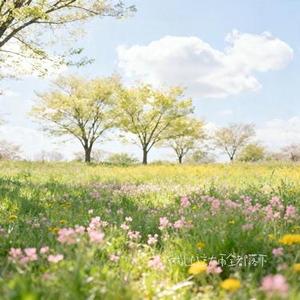 就让这大雨全都落下 (Cover ycccc)