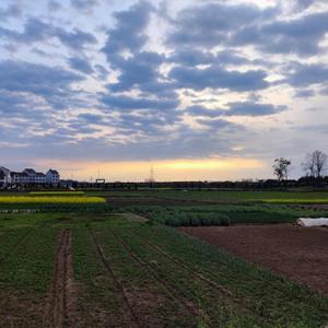 三号线(吉他版)_海绵宝宝‭‭‭‭‭‭‭‭‭‮‭‮‭‭‮[em]e6094[em]‭