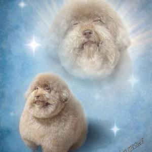 horchata (feat. DJ Sickle Cell Anemia)