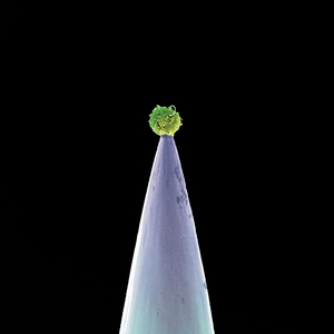 Digging In The Dirt (New Blood Version)