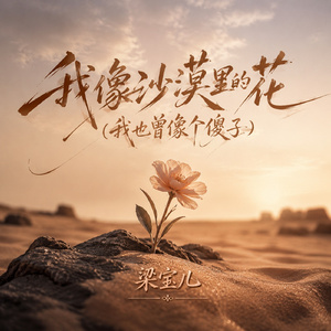我像沙漠里的花(我也曾像个傻子)