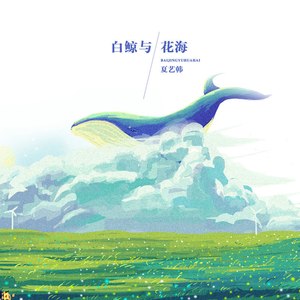 白鲸与花海