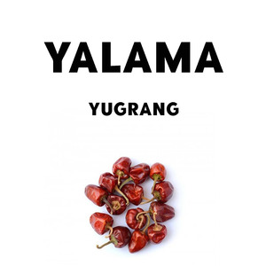 Yalama