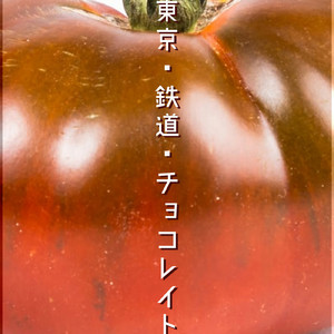 アシッド・チョコレイト