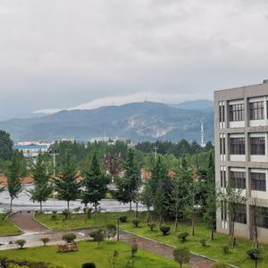 过去来的人-cover