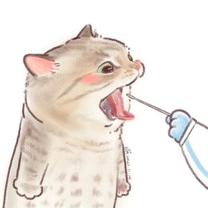 夏天的风（翻唱）