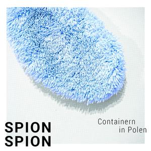 Containern in Polen