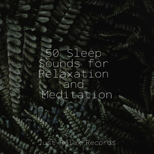 Echoes from Stained Glass